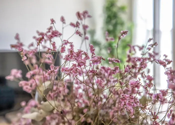 Apartman Vizconde De Miranda & Parking Incluido & Casco Historico Córdoba